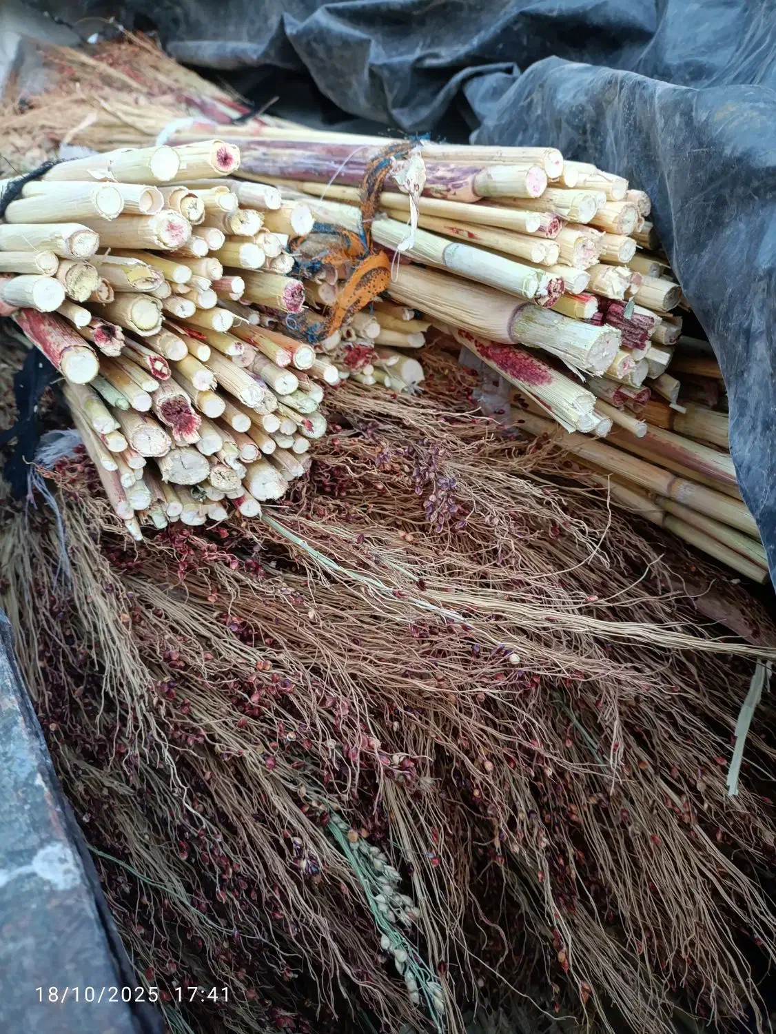 فروش جارو گال. عمده و خرده|لوازم نظافت|روانسر, |دیوار