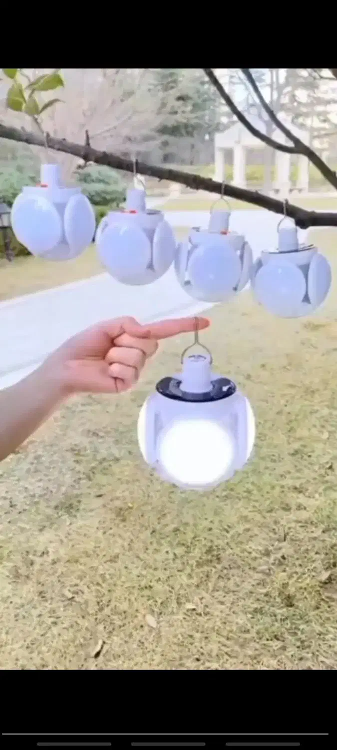 لامپ پنج پر|ریسه و چراغ تزئینی|یزد, |دیوار