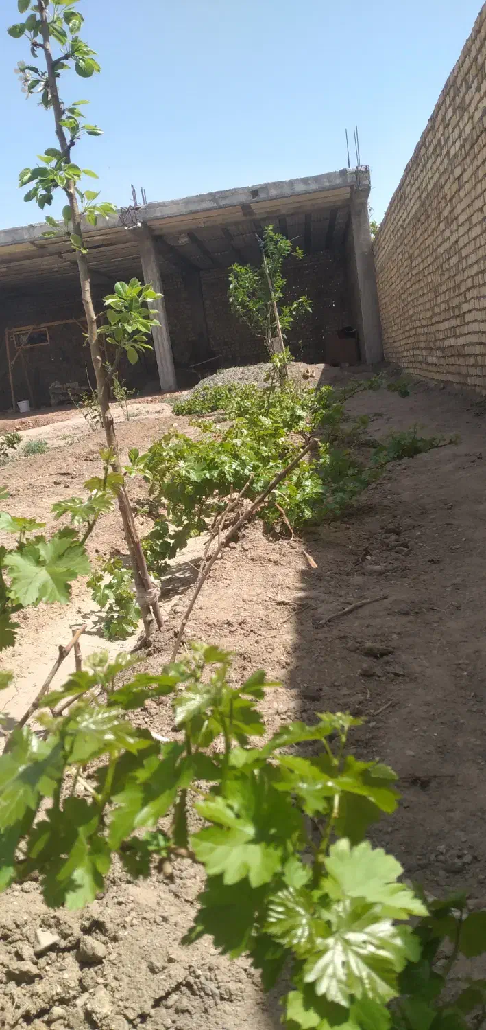 زمین جاده قمصر|فروش زمین و ملک کلنگی|کاشان, صفی آباد|دیوار