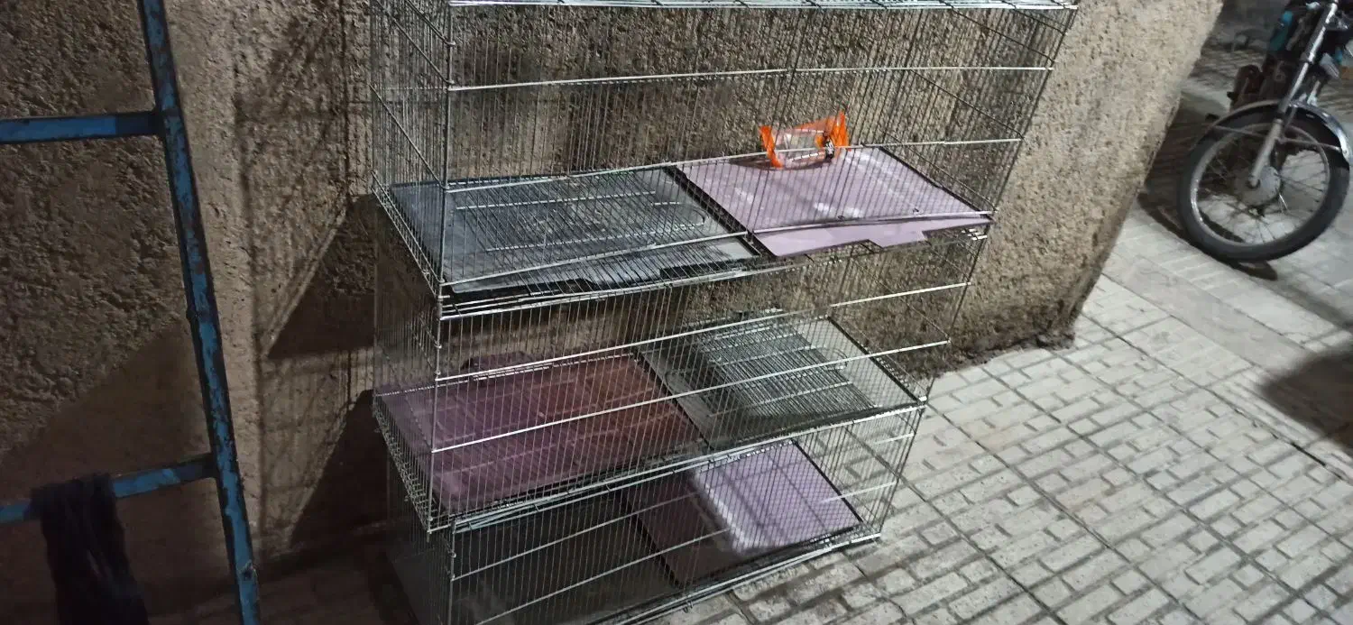 قفس پرنده|لوازم جانبی حیوانات|جوانرود, |دیوار