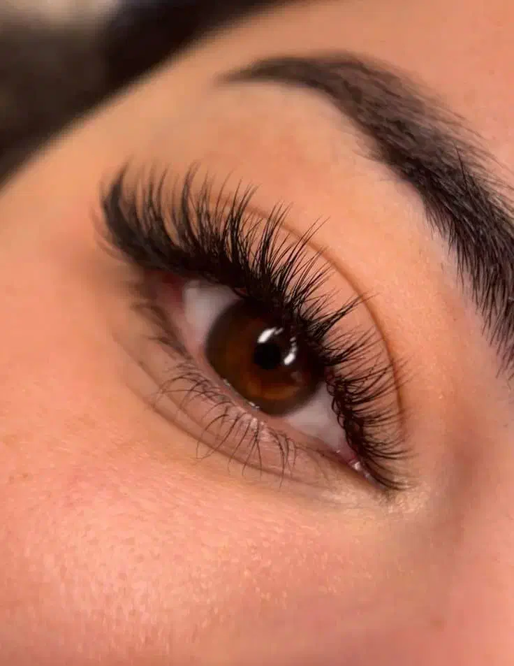 خدمات تخصصی اکستنشن مژه و لیفت مژه و ابرو|خدمات آرایشگری و زیبایی|شیراز, ارم|دیوار