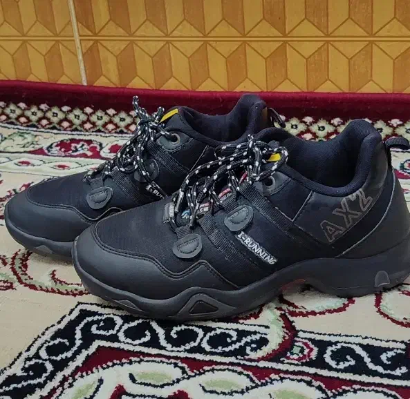 سایز ۳۹ و و۴۱ و۳۷و ۴۲|کیف، کفش، کمربند|قم, چهل درخت‎|دیوار