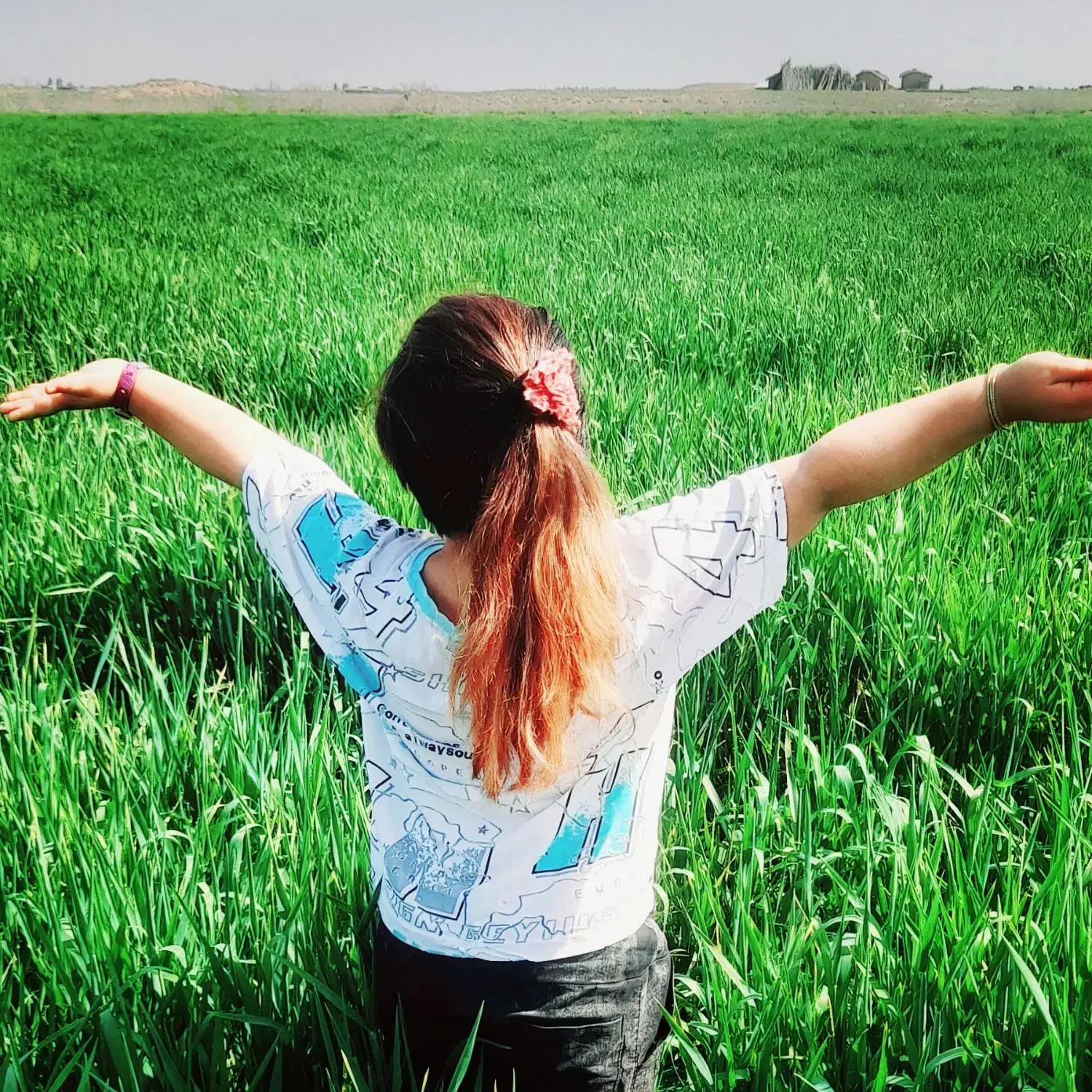 ۲هکتار زمین  روستای بهلکه شیخ موسی|فروش زمین و ملک کلنگی|آق قلا, |دیوار