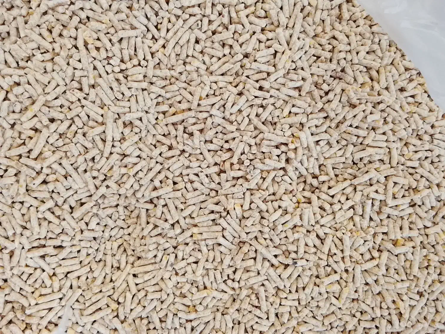 دان مرغی درجه یک شفاه دانه|لوازم جانبی حیوانات|بندر گز, |دیوار