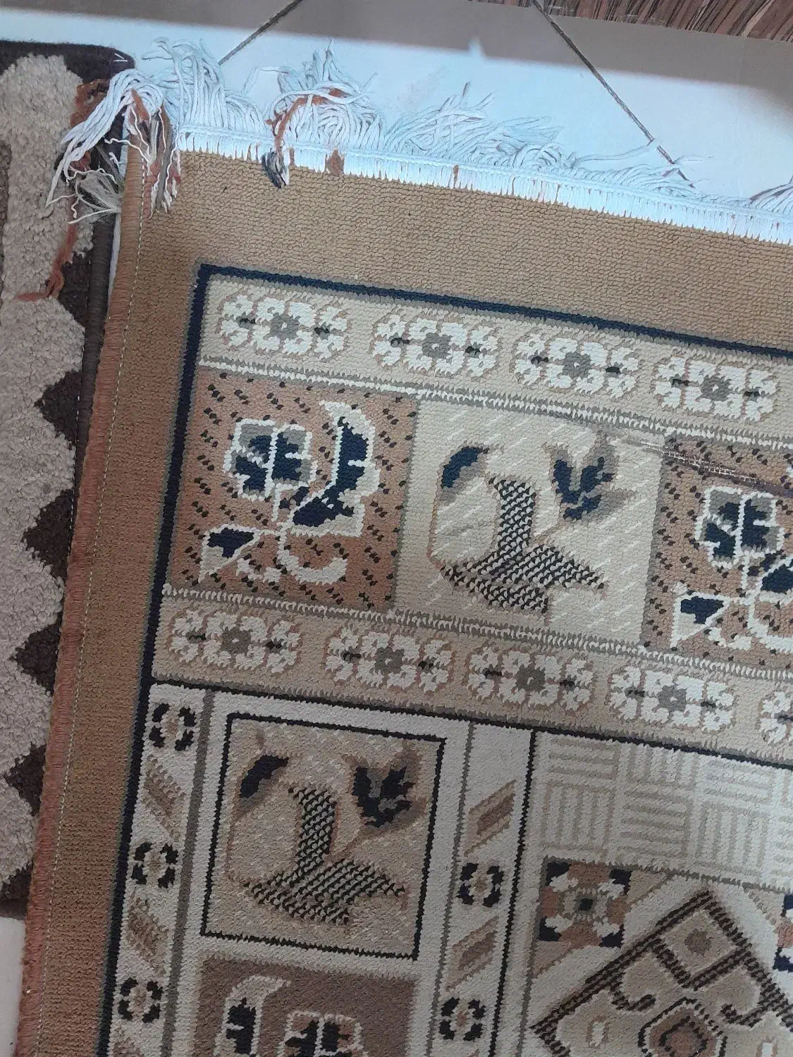 گلیم فرش دوبیستوپنج سانت دریک ونیم که میشه ۴متر|گلیم، جاجیم، گبه|شاهین‌شهر, مسکن مهر|دیوار