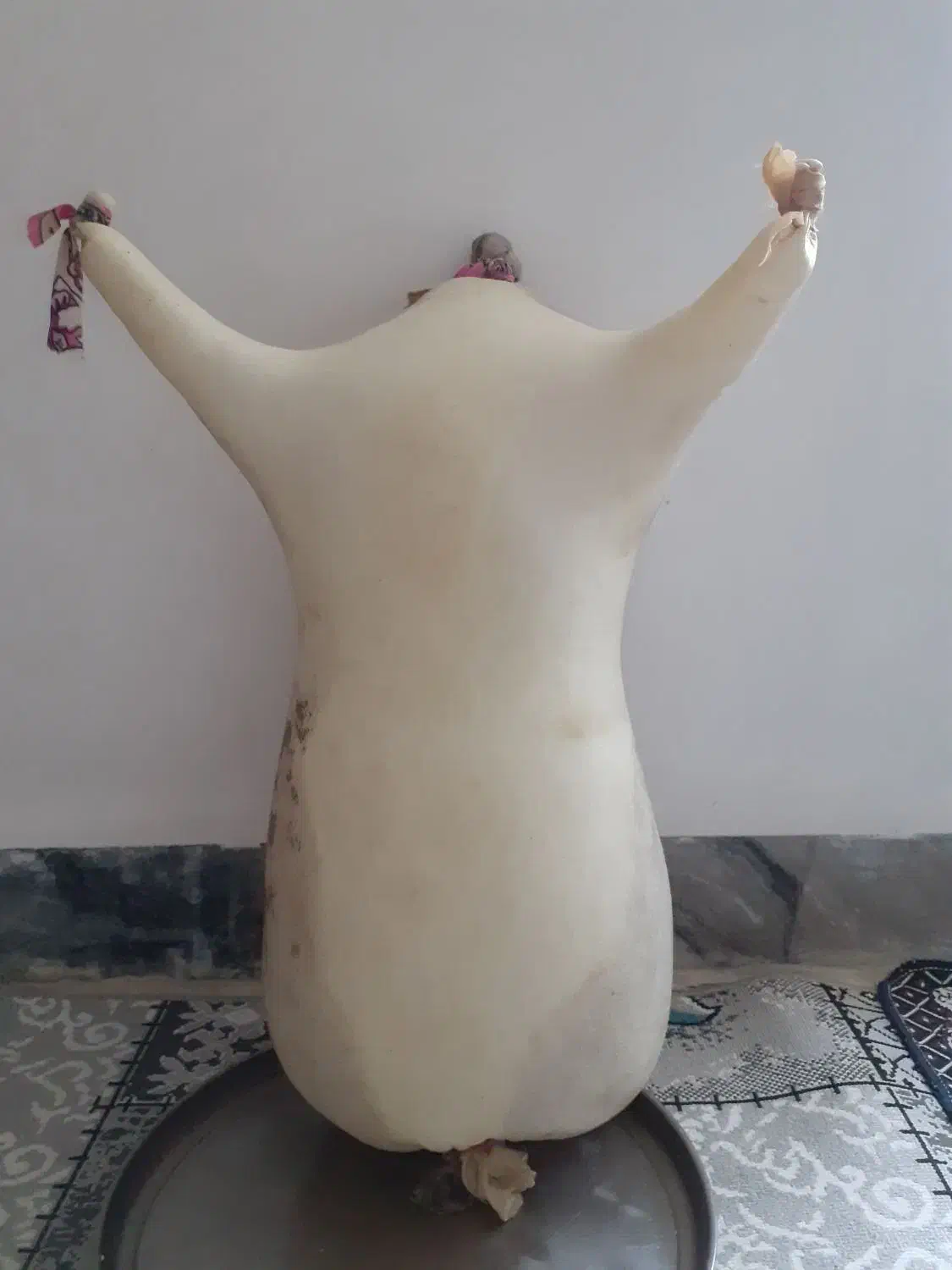 هیزه جا پنیر و شیراز (تجر)|ظروف نگهدارنده، پلاستیکی، یکبارمصرف|الشتر, |دیوار