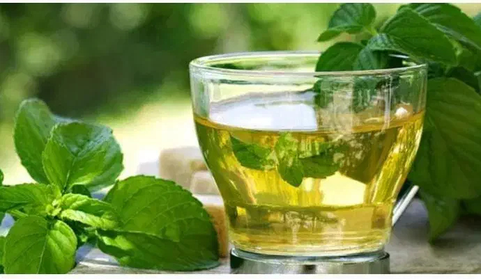 نوشیدنی ارگانیک نیروساز بی‌افزودنی|خوردنی و آشامیدنی|قم, بلوار امین و ساحلی|دیوار