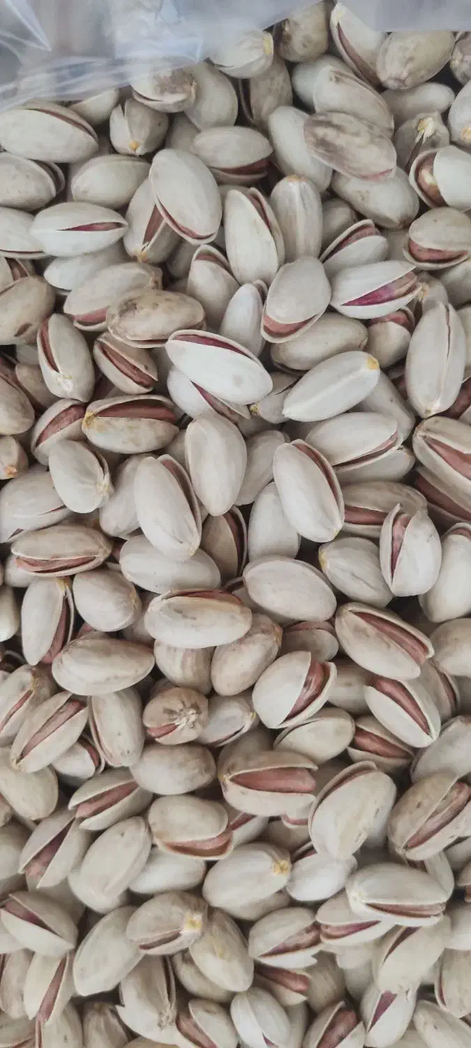 فروش انواع مغز و پسته|خوردنی و آشامیدنی|تهران, سیمای ایران|دیوار