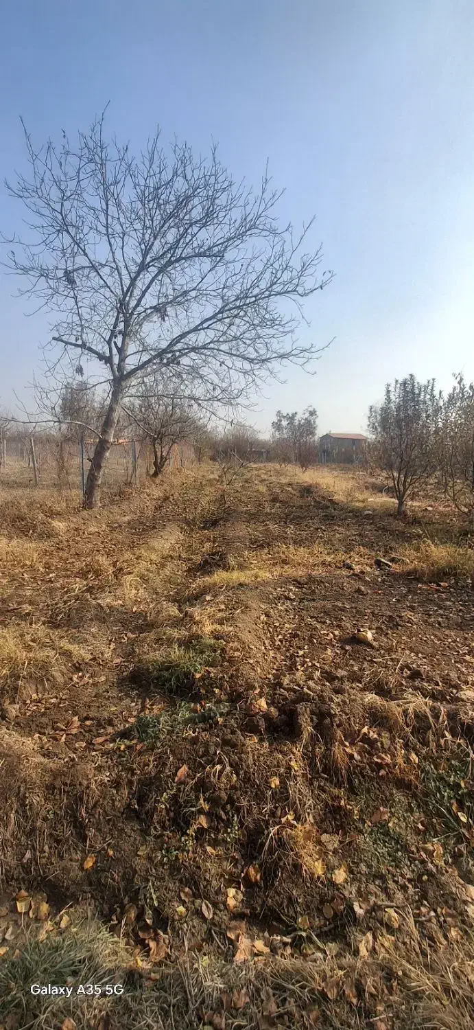 زمین باغچه|فروش زمین و ملک کلنگی|نوشین شهر, |دیوار