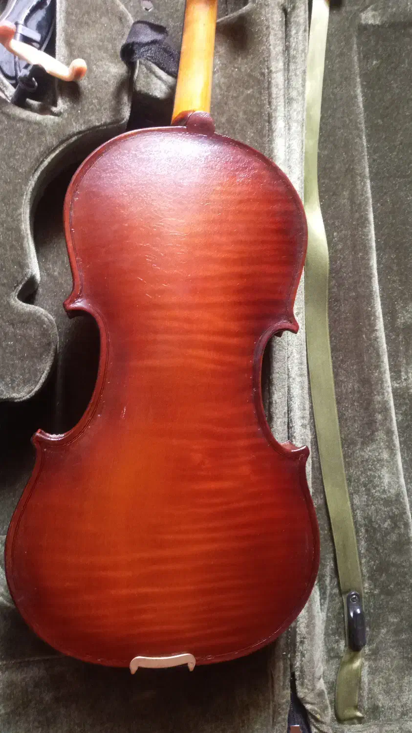 ویلن دست ساز حرفه ای|ویولن|اراک, |دیوار