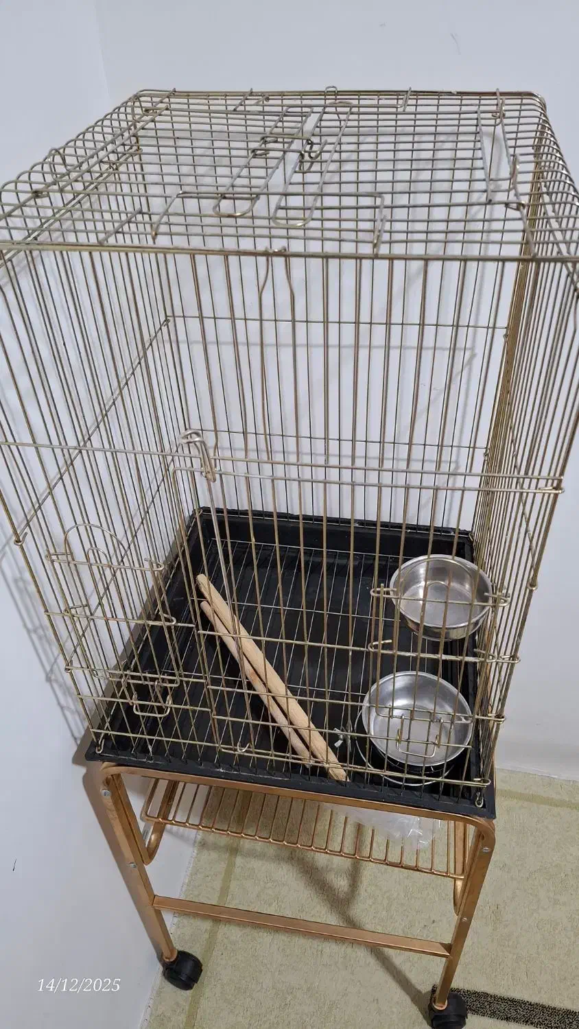 قفس طوطی|لوازم جانبی حیوانات|مراغه, |دیوار