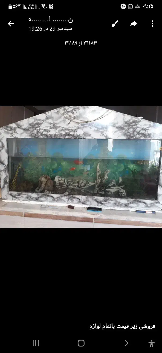 اکواریوم ۱/نیم در ۳۳ قد ۷۰|ماهی|مه ولات, |دیوار