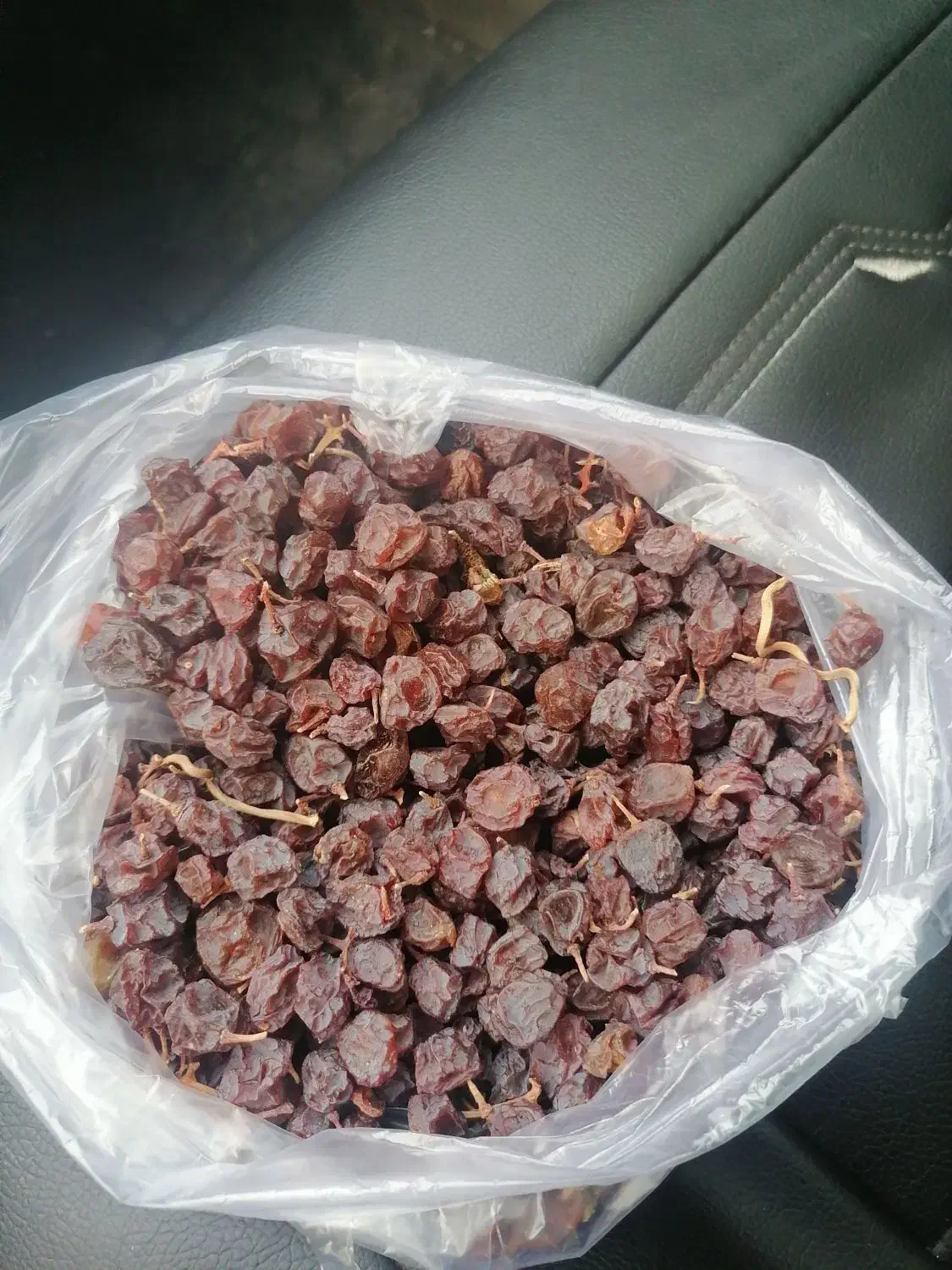 مویزبش|خوردنی و آشامیدنی|شیراز, شهرک عرفان|دیوار