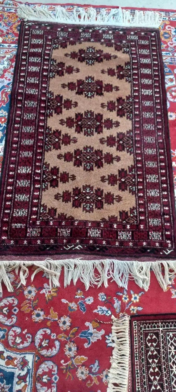 قالیچه دستباف|فرش|بندر ترکمن, |دیوار