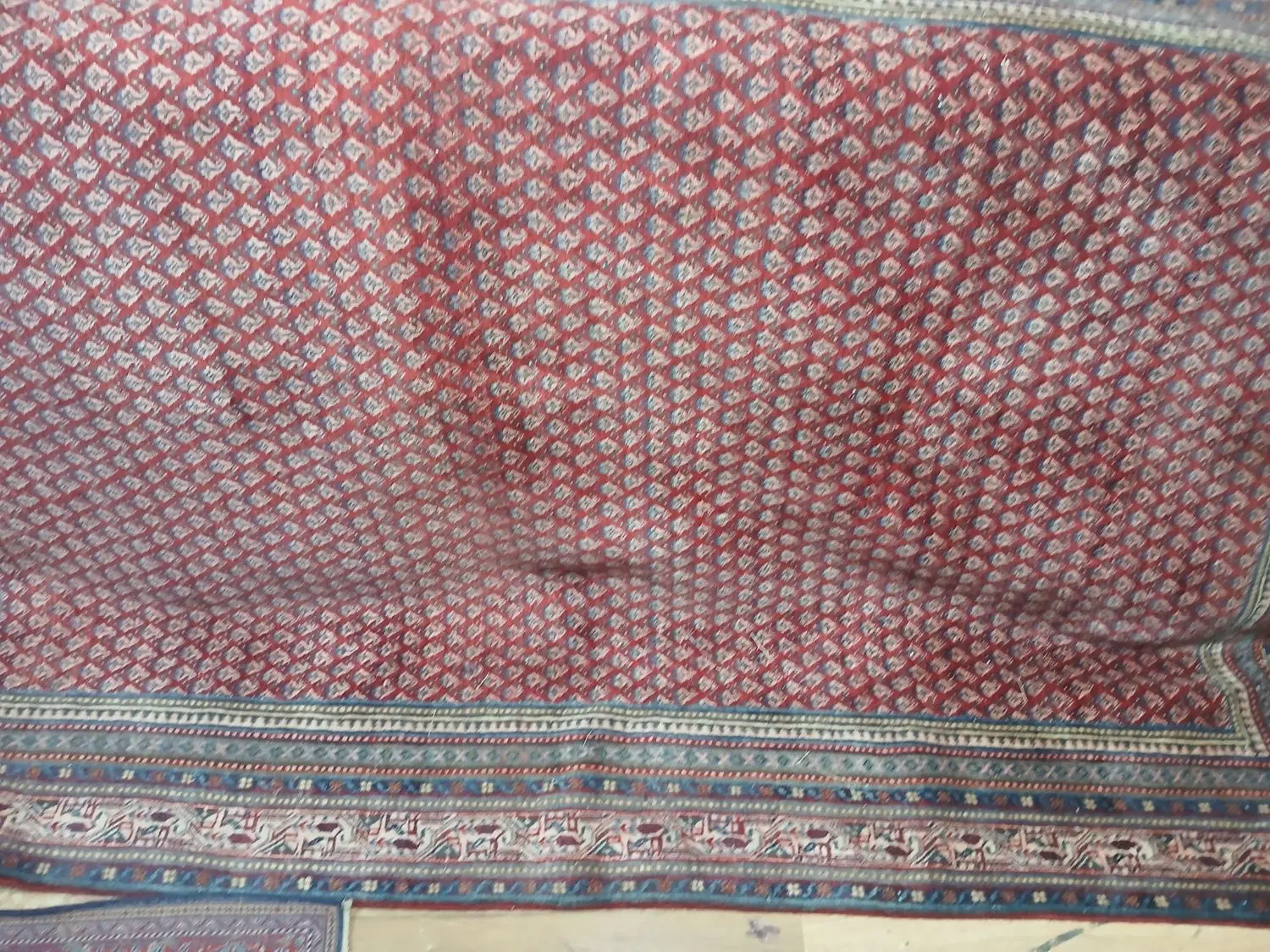۶ متری اراک بته و جفت سنندج و قالی کلیایی|فرش|کرج, ساسانی (قلمستان)|دیوار