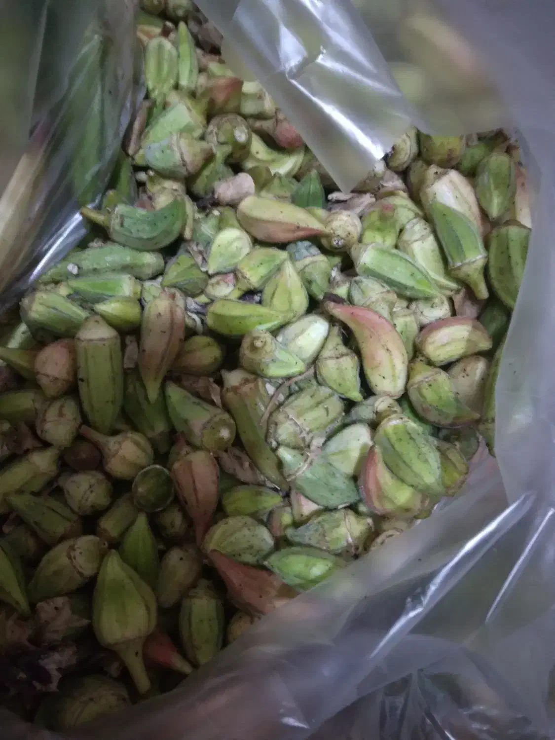 بامیه ریز|خوردنی و آشامیدنی|سروآباد, |دیوار