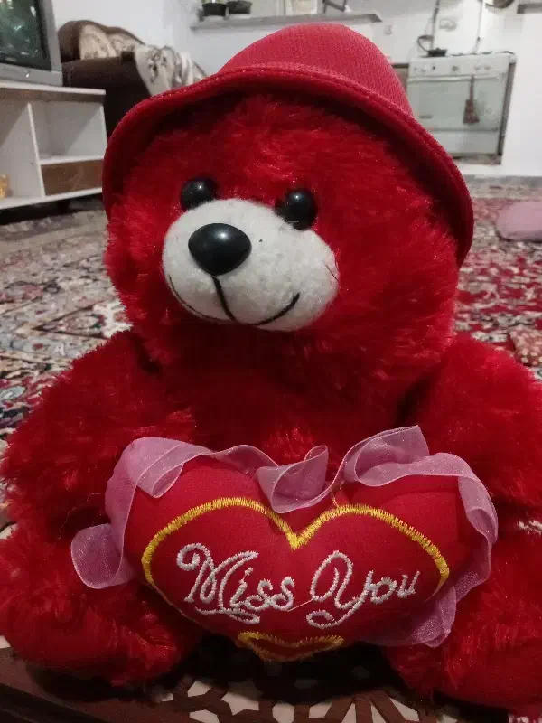 خرسی پشمالو ۳۰سانتی|اسباب‌بازی بچه|پاکدشت, پاکدشت (مامازند)|دیوار