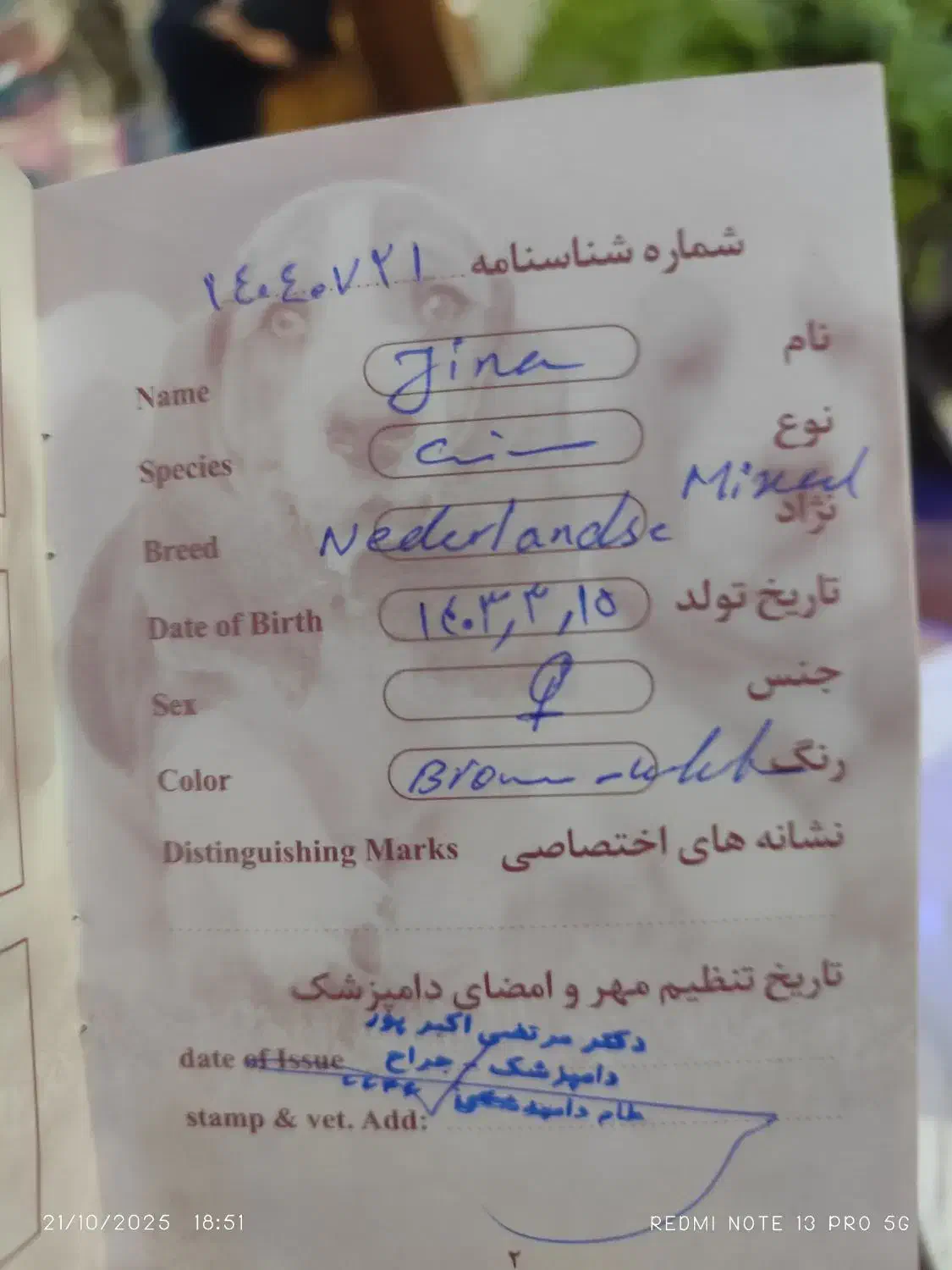 سگ اشپیتز|سگ|مرودشت, ثبت احوال|دیوار