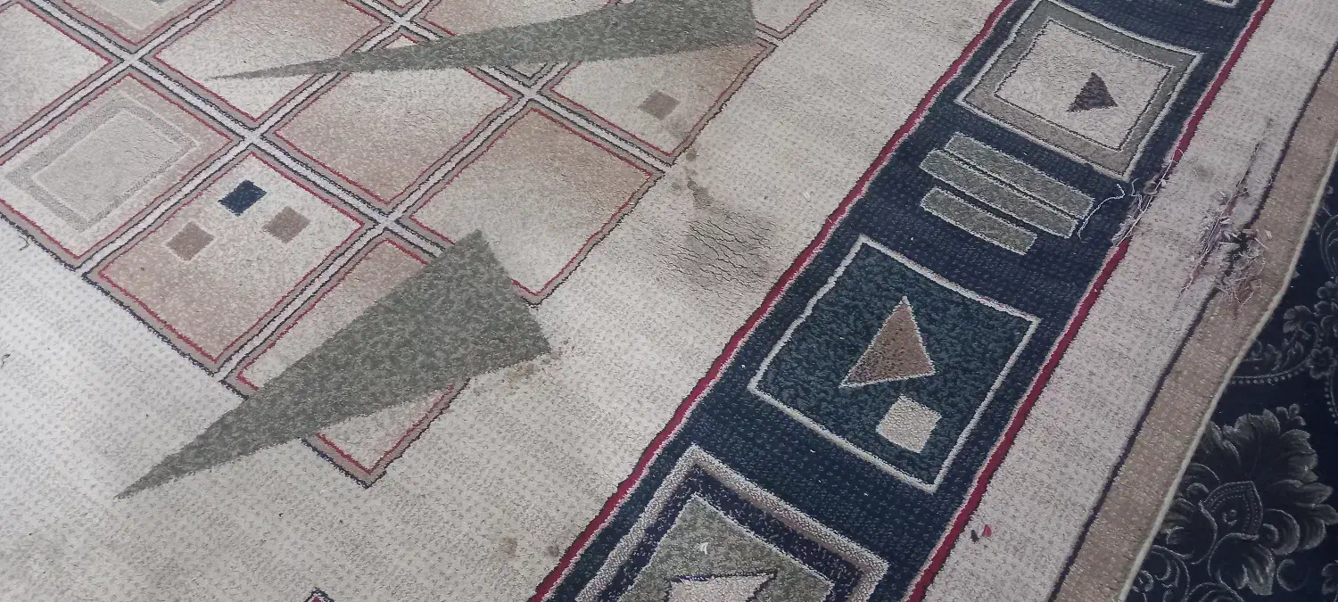 قالی دست دوم|فرش|باوی, |دیوار