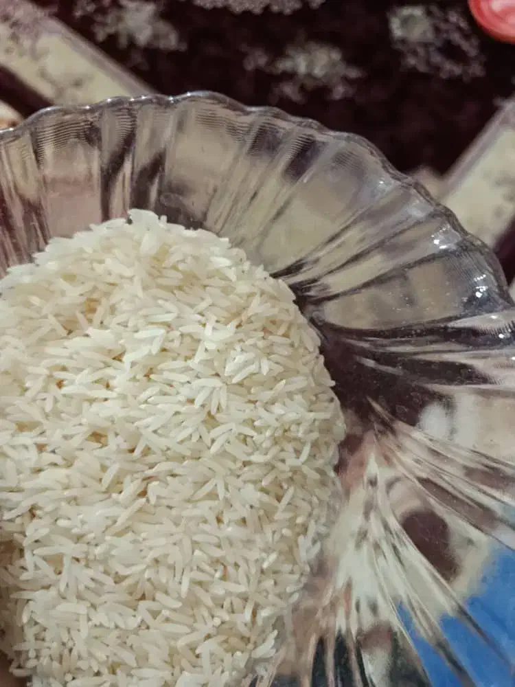 بزنج فجر امسالی خوش عطر|عمدهفروشی|آق قلا, |دیوار