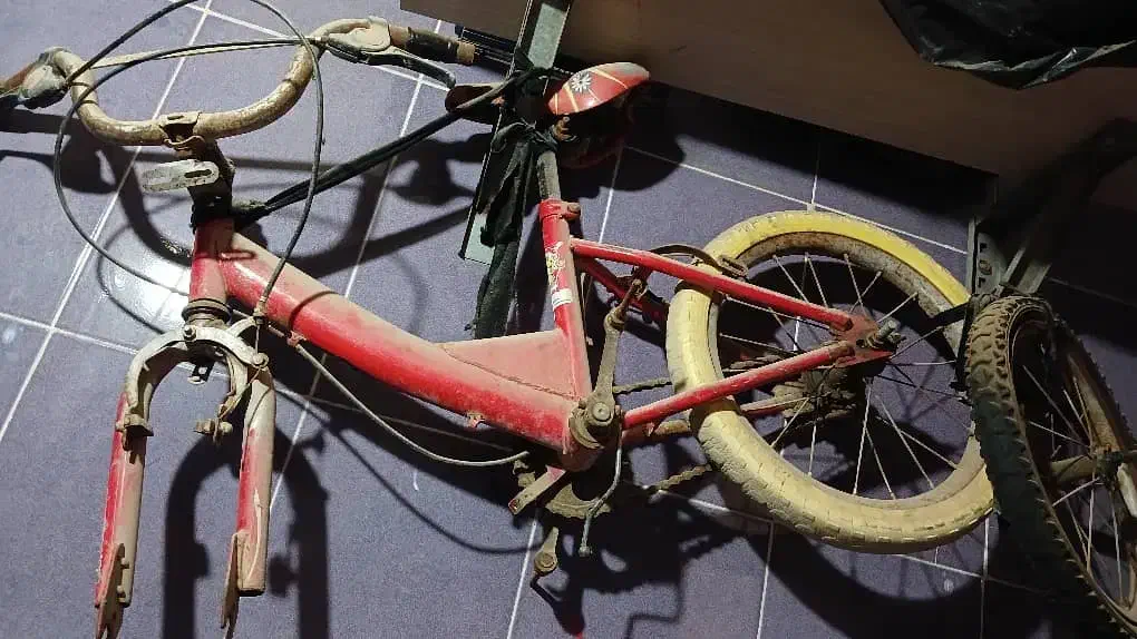 دوچرخه ۱۲|دوچرخه، اسکیت، اسکوتر|باوی, |دیوار