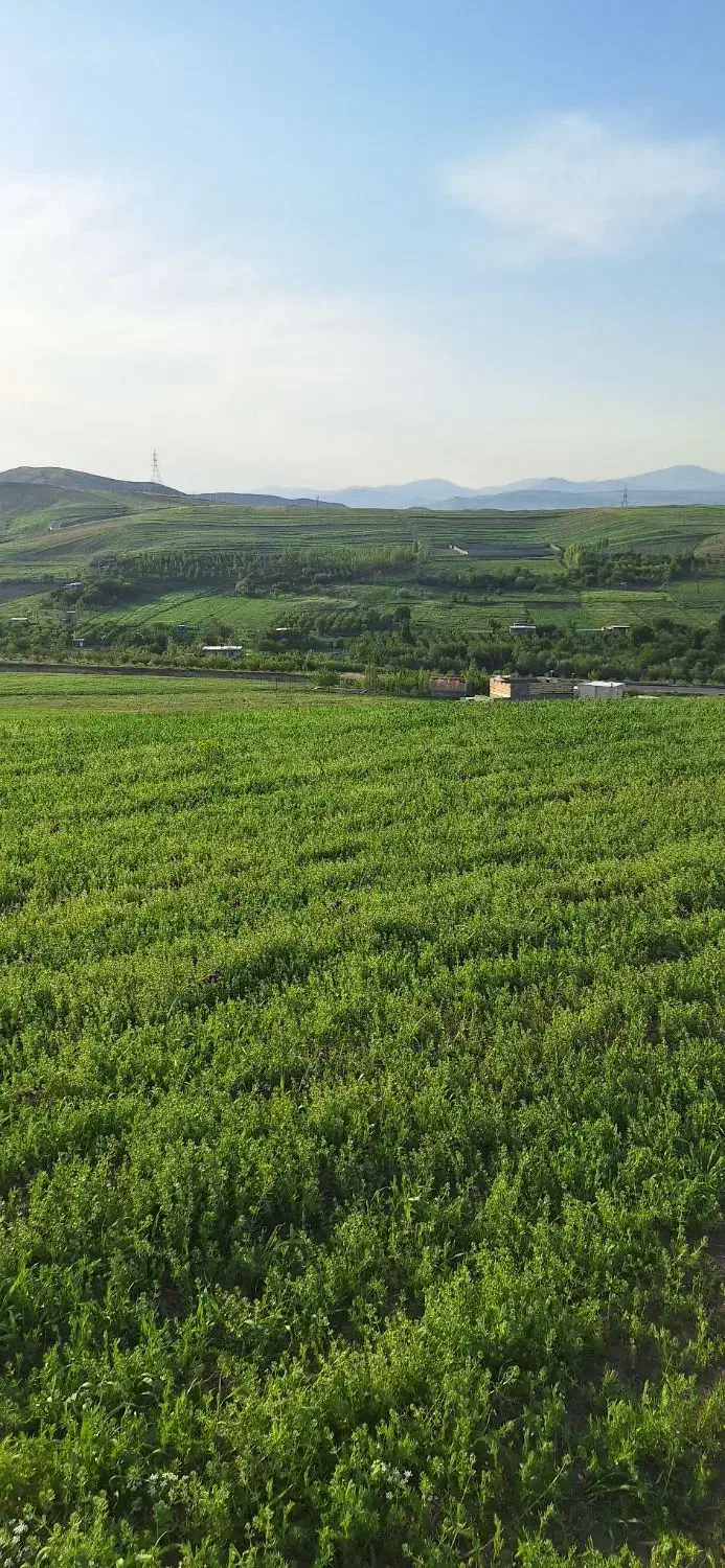 فروش یک قطعه زمین به متراژ تقریبی ۱۴۰۰۰ متر|فروش دفتر صنعتی، کشاورزی، تجاری|اهر, |دیوار