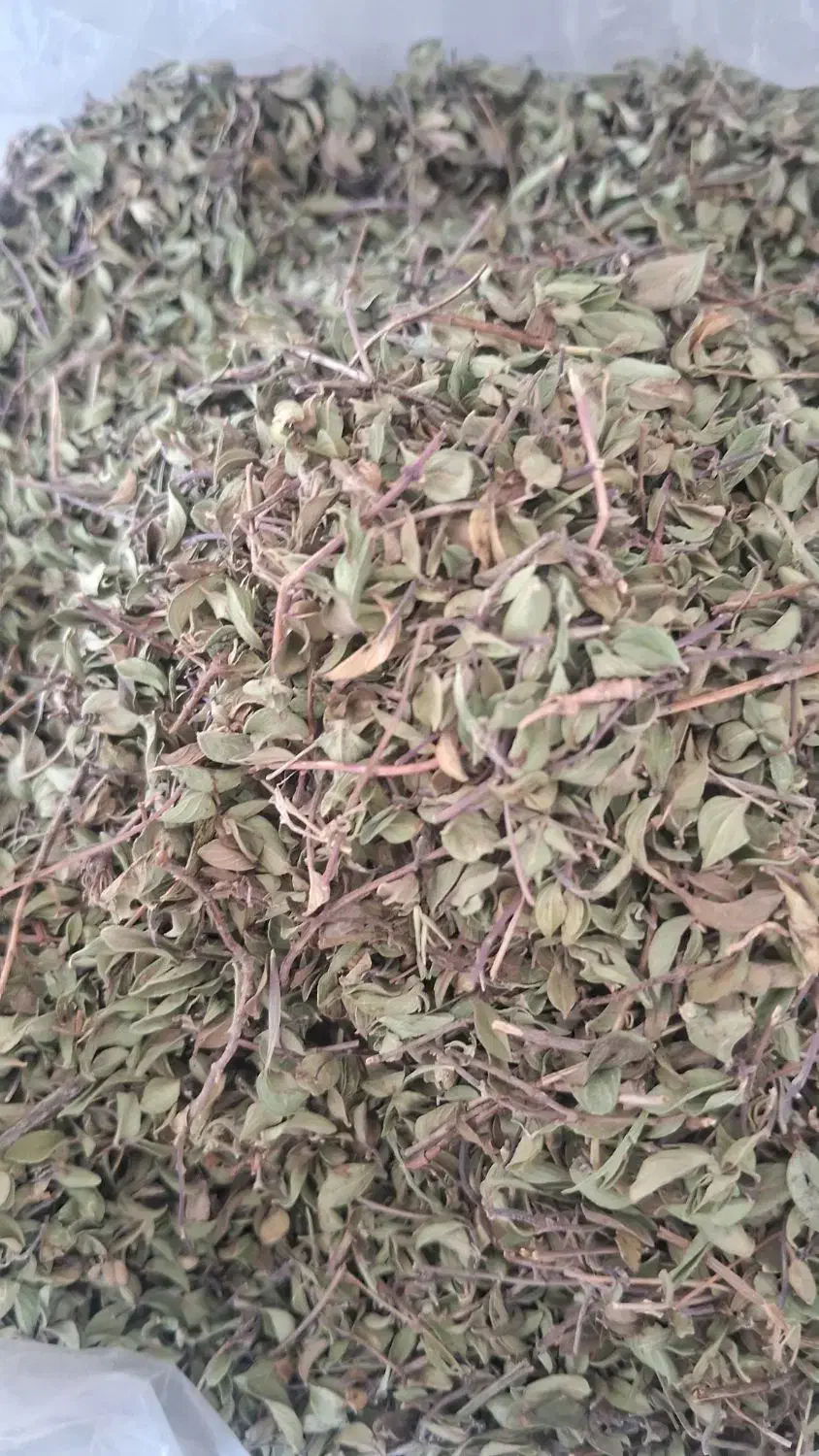 آویشن کوهی|خوردنی و آشامیدنی|بسطام, |دیوار