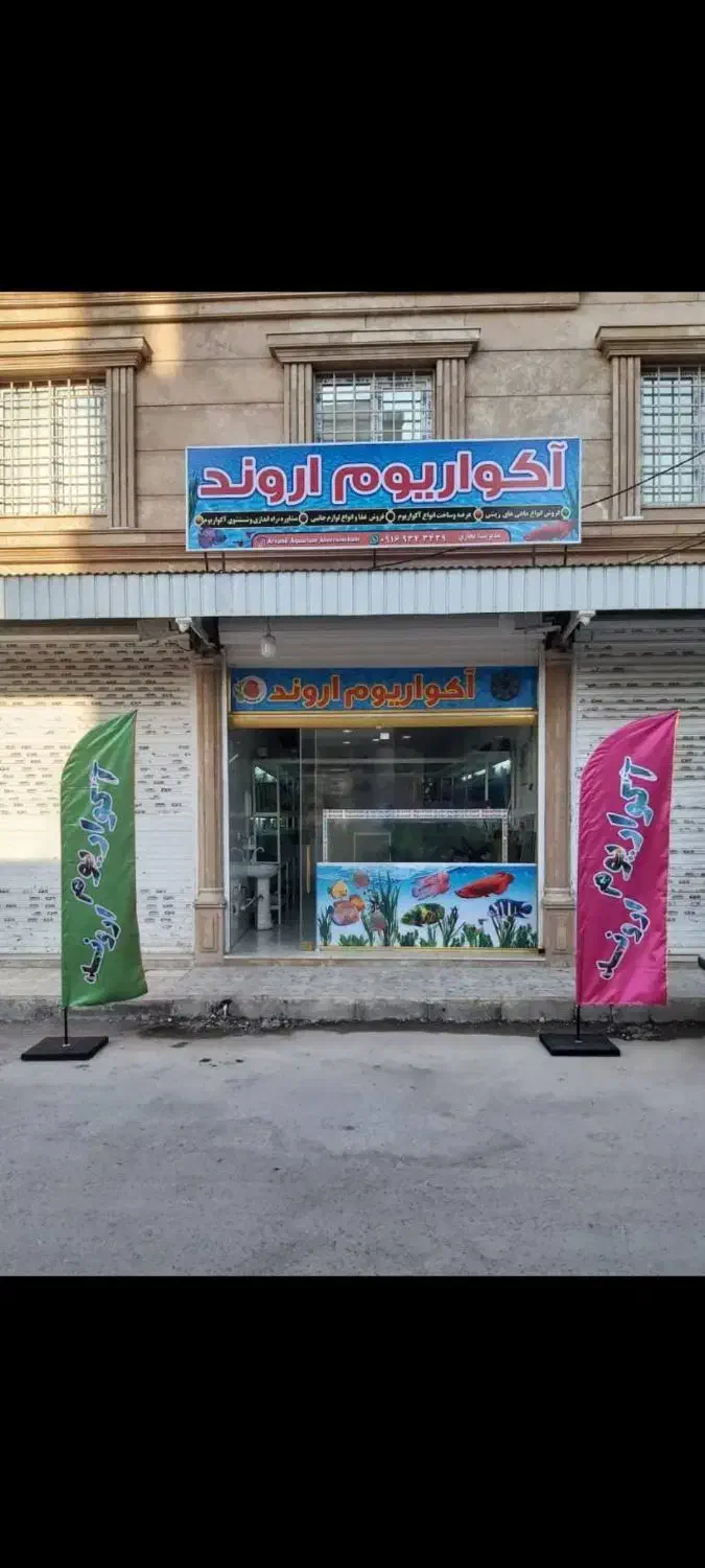 آکواریوم اروند خرمشهر|ماهی|خرمشهر, |دیوار