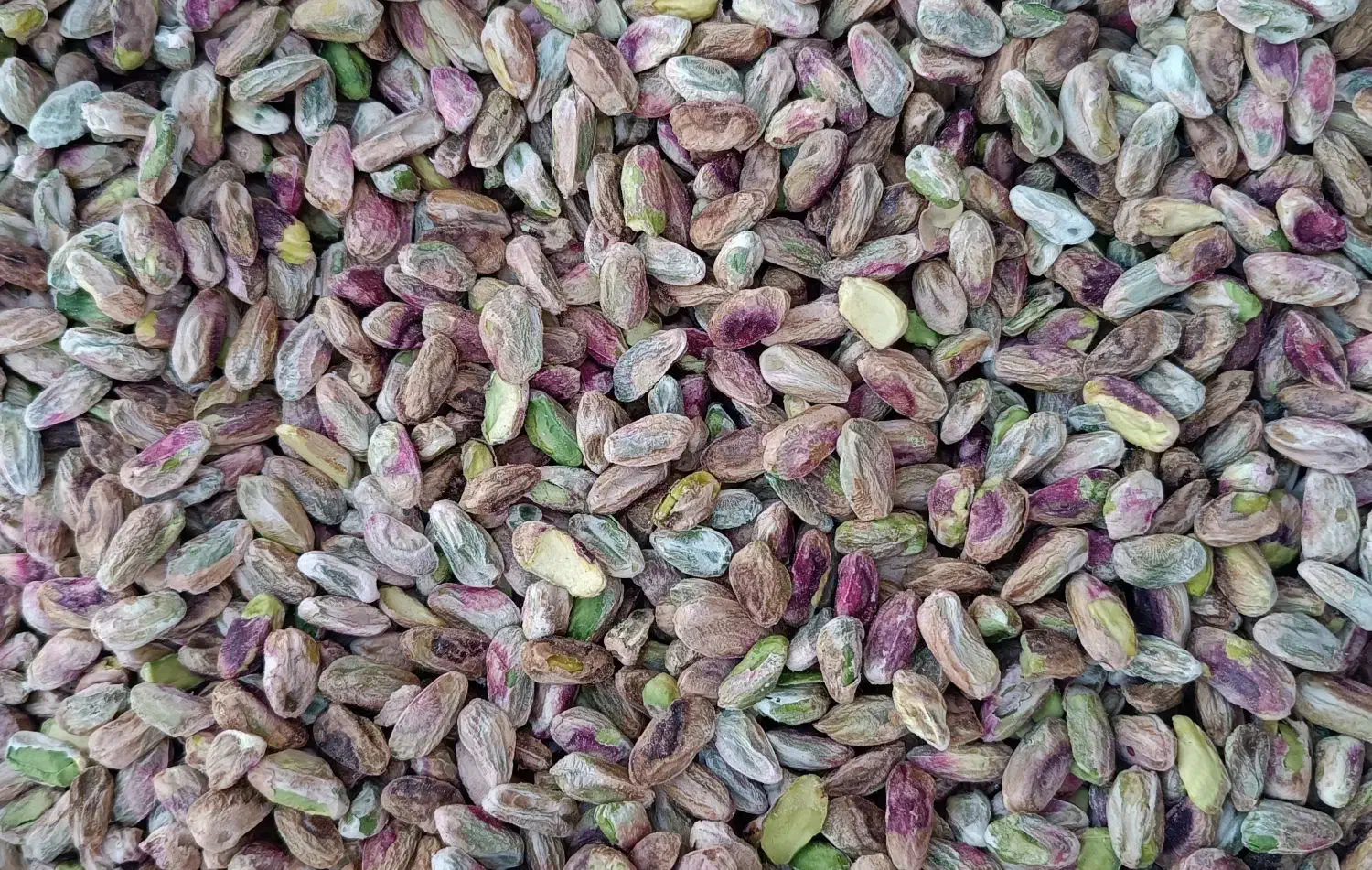 مغز پسته دست شکن خوب|خوردنی و آشامیدنی|تهران, مدائن|دیوار