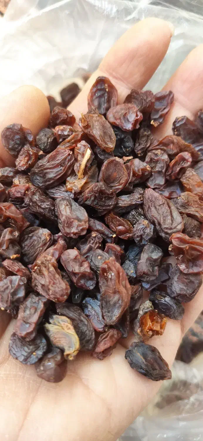 کشمش پلویی|خوردنی و آشامیدنی|اصفهان, دستگرده|دیوار