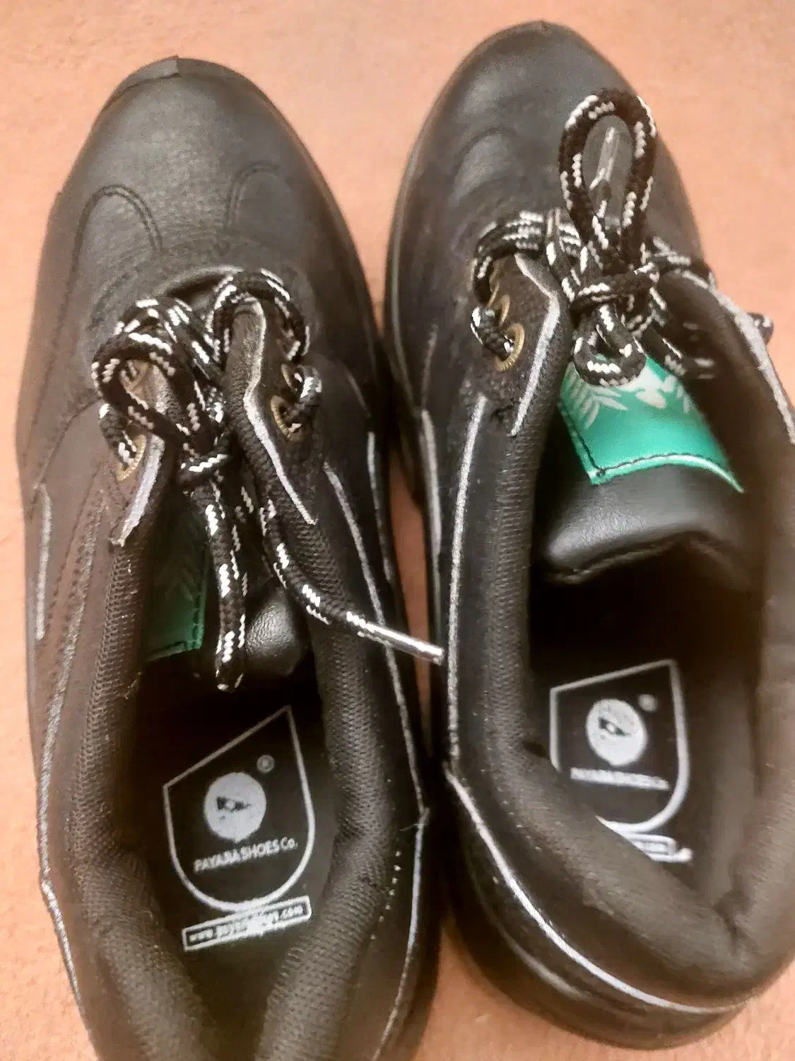 کفش ایمنی|کیف، کفش، کمربند|شوشتر, |دیوار