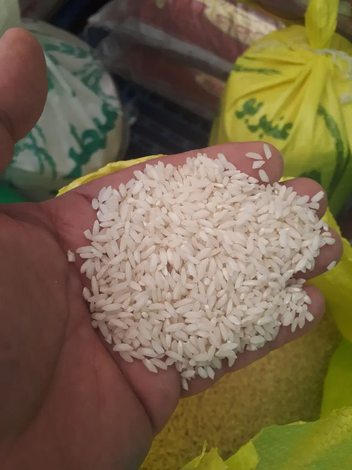 برنج شوشتر|خوردنی و آشامیدنی|اهواز, فرهنگ شهر|دیوار