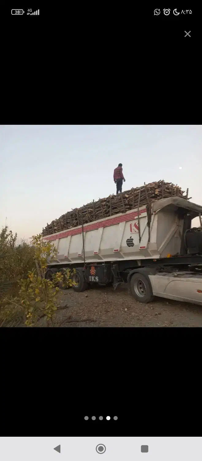 چوب خریدارم|خدمات باغبانی و درختکاری|توکهور, |دیوار