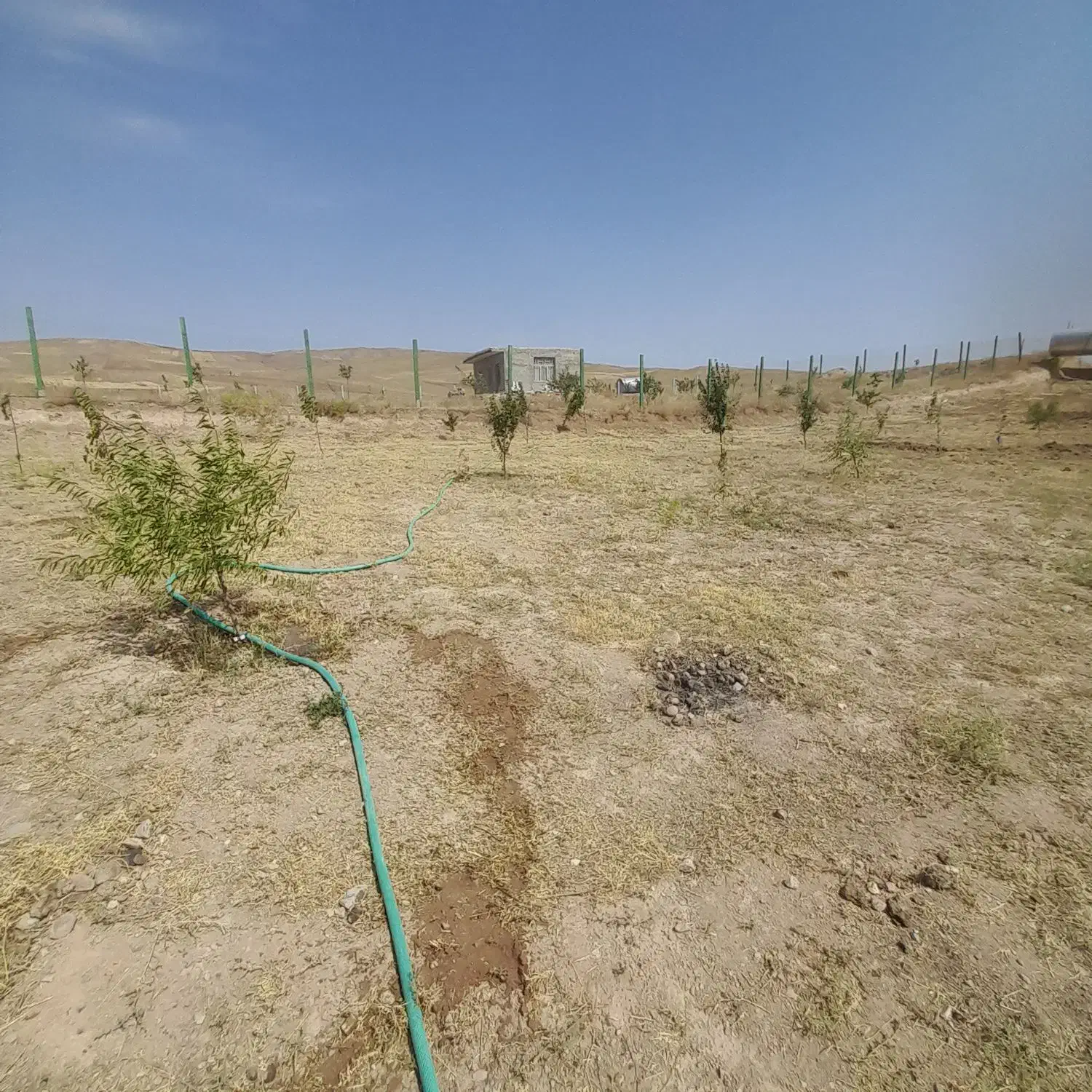 باغ جاده ورزقان|فروش دفتر صنعتی، کشاورزی، تجاری|خواجه, |دیوار