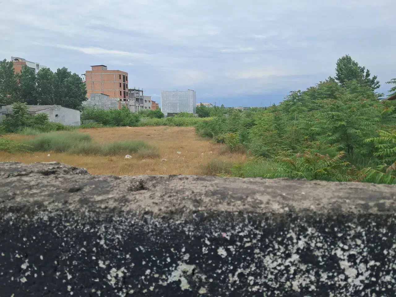 مشارکت زمین مسکونی تجاری ۵۹۰۰ متر خ آزادی|مشارکت در ساخت املاک|محمودآباد, |دیوار