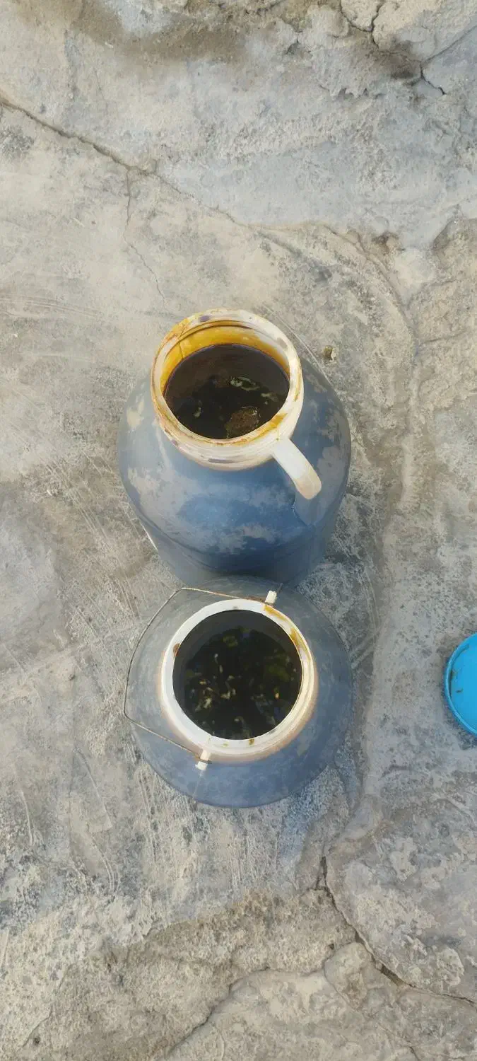 شیره ی انگور|خوردنی و آشامیدنی|شاهینشهر, خانه کارگر|دیوار