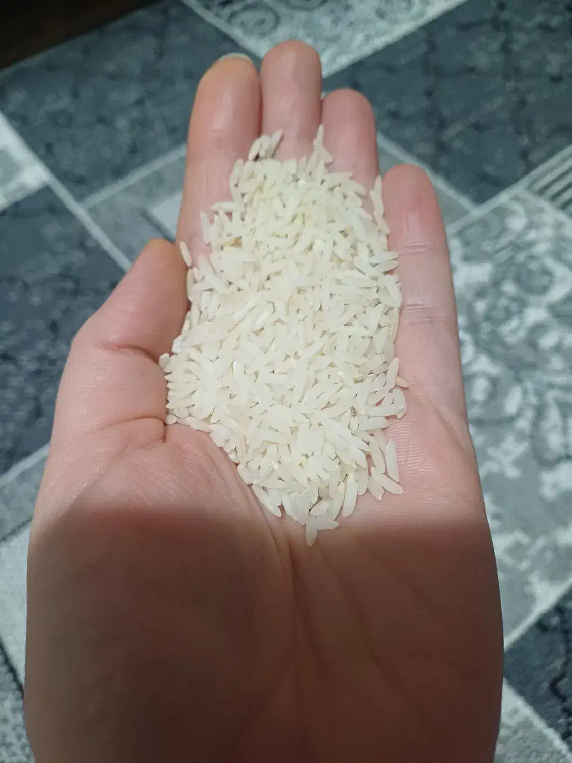 ۵۰کیلو برنج هاشمی|خوردنی و آشامیدنی|رشت, پل تالشان|دیوار