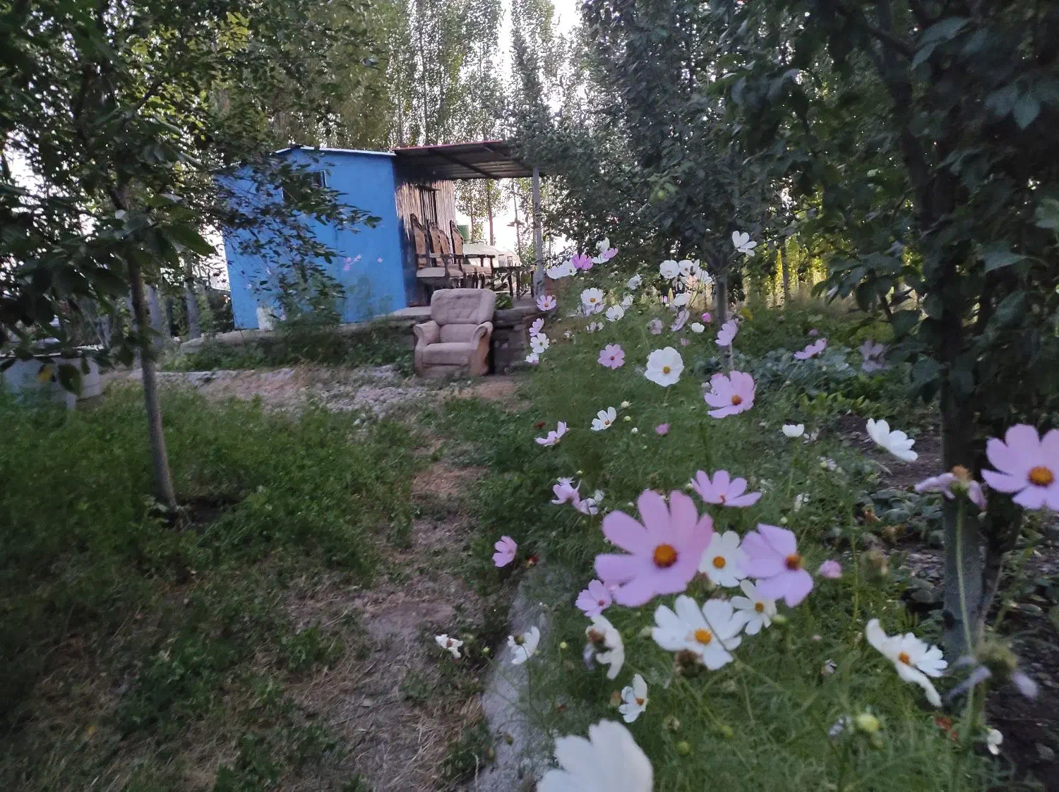 باغ بر کمربندی سوم روستای صومعه|فروش خانه و ویلا|اردبیل, |دیوار