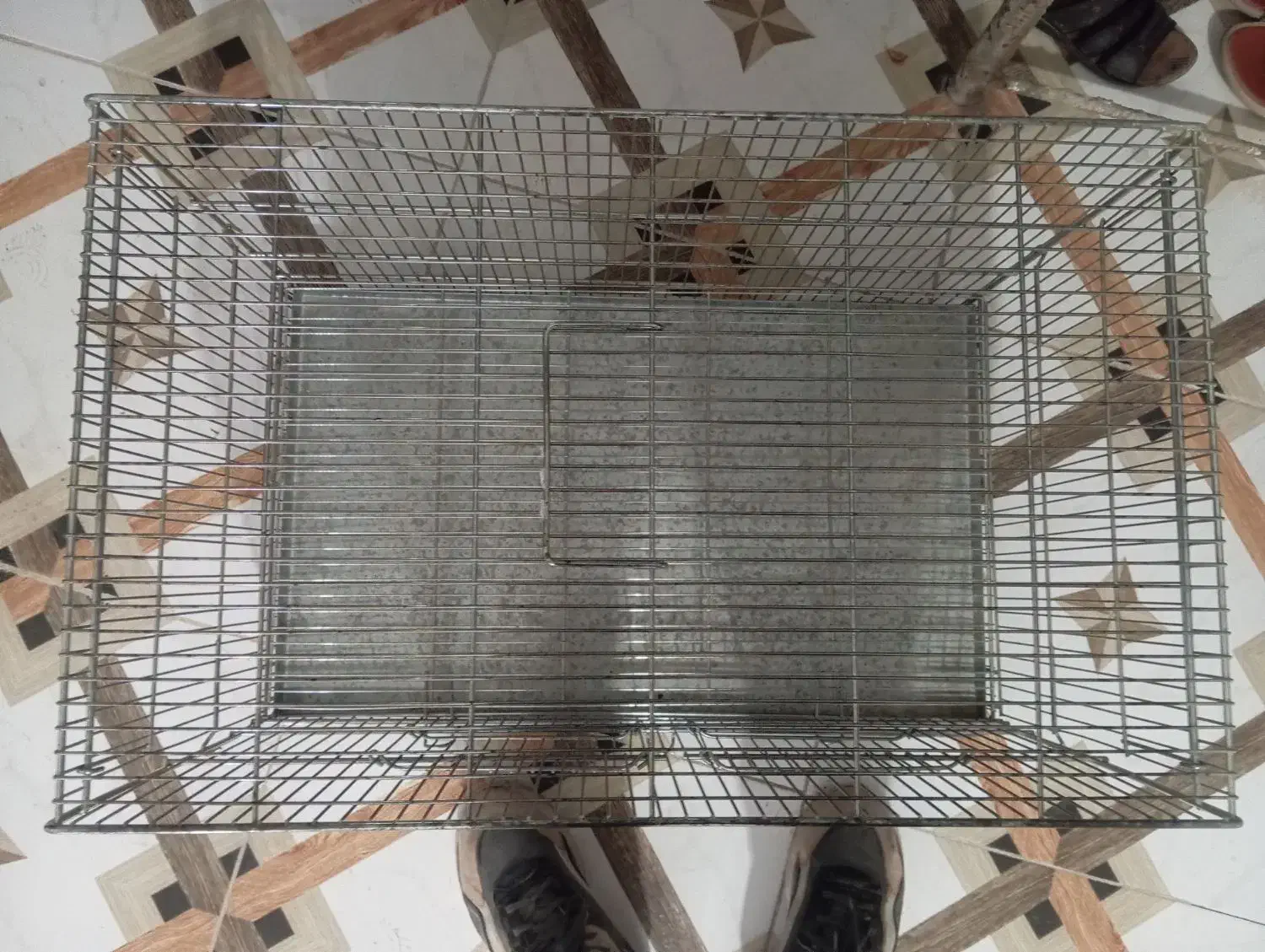 دو عدد قفص سالم نو دانه ای یک ملیون|لوازم جانبی حیوانات|جونقان, |دیوار