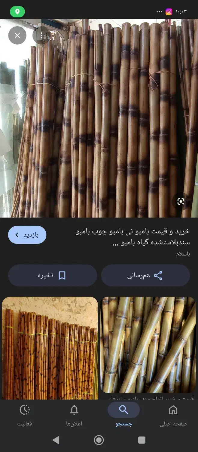 درختچه|گل مصنوعی|ایرانشهر, |دیوار