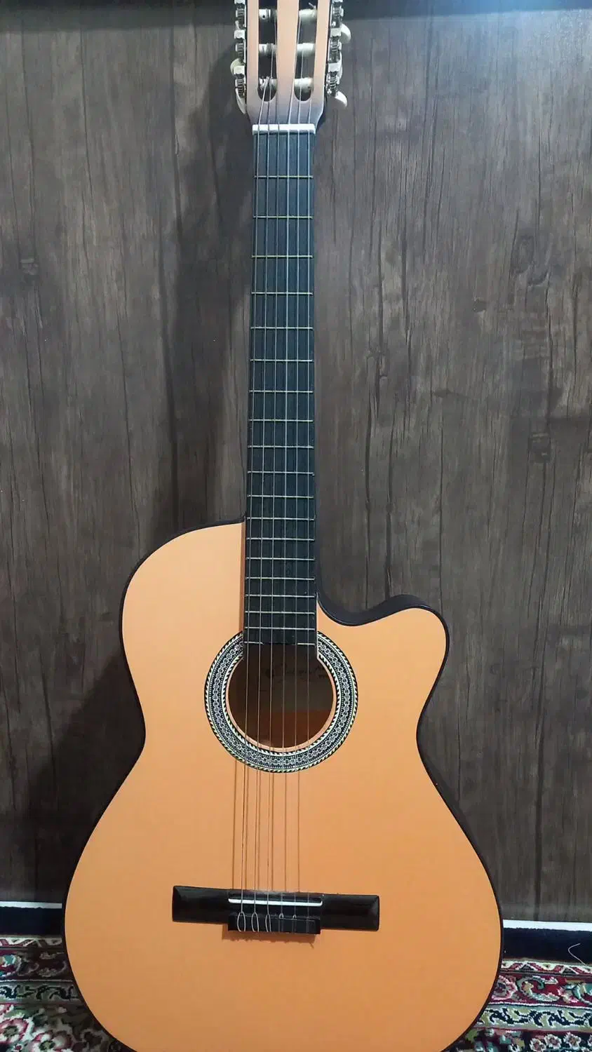 گیتار،کاملا نو|گیتار، بیس، امپلیفایر|ملایر, |دیوار