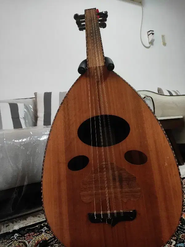 عود زریاب|سازهای سنتی|بندرعباس, |دیوار