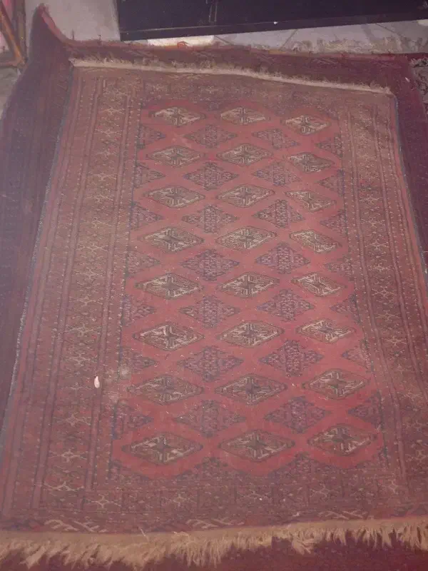 فروش فرش ترکمن دستباف قدیمی|فرش|چالوس, |دیوار