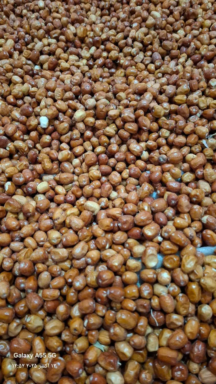 سنجد درجه یک|عمدهفروشی|مشهد, هفت تیر (آب و برق)|دیوار