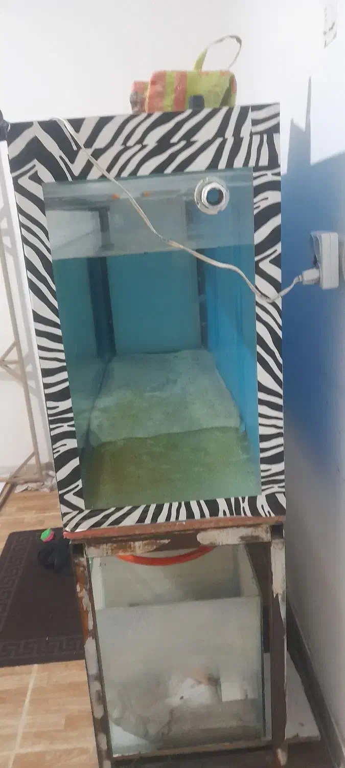 آکواریوم سایز بزرگ|ماهی|خرمآباد, |دیوار