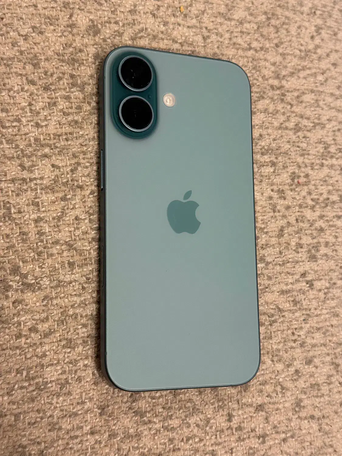 ایفون ۱۶ نرمال|موبایل|مشهد, رضاشهر|دیوار