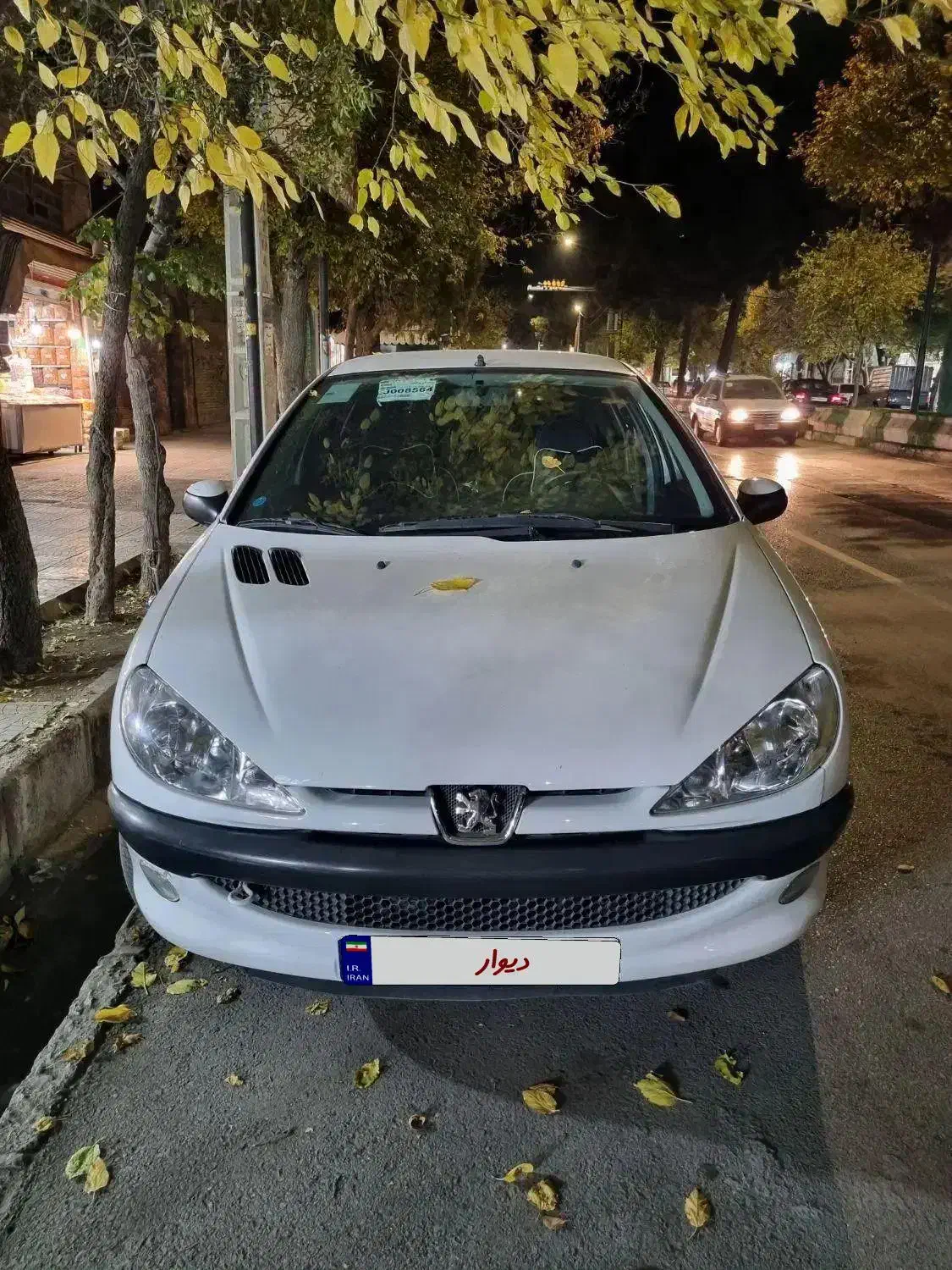 ۲۰۶ تیپ ۲ مدل ۹۹|خودرو سواری و وانت|بروجرد, |دیوار