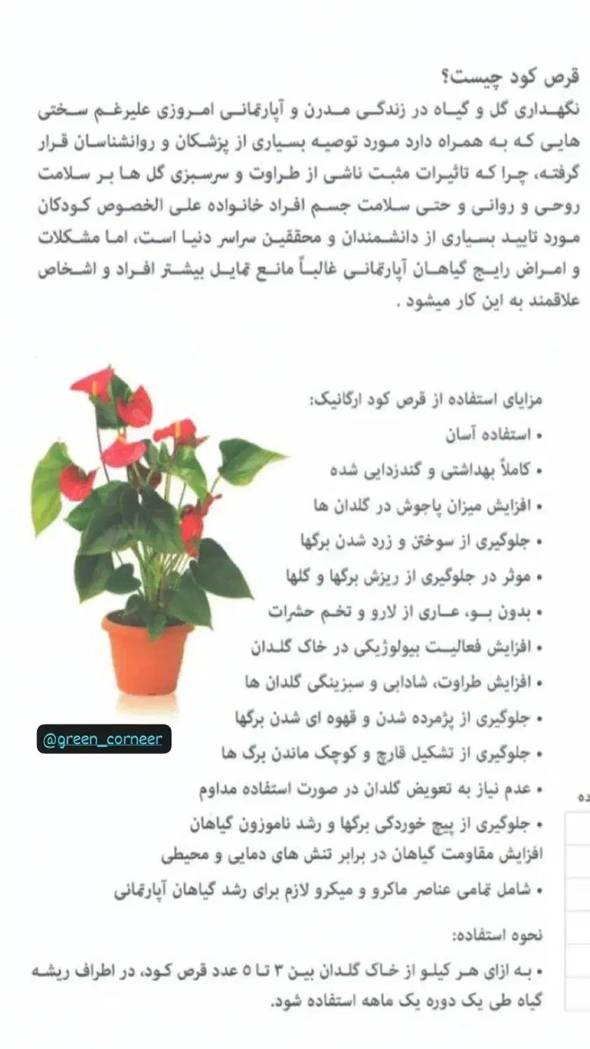 قرص کود۱۲۰عددی|گل و گیاه طبیعی|اسالم, |دیوار