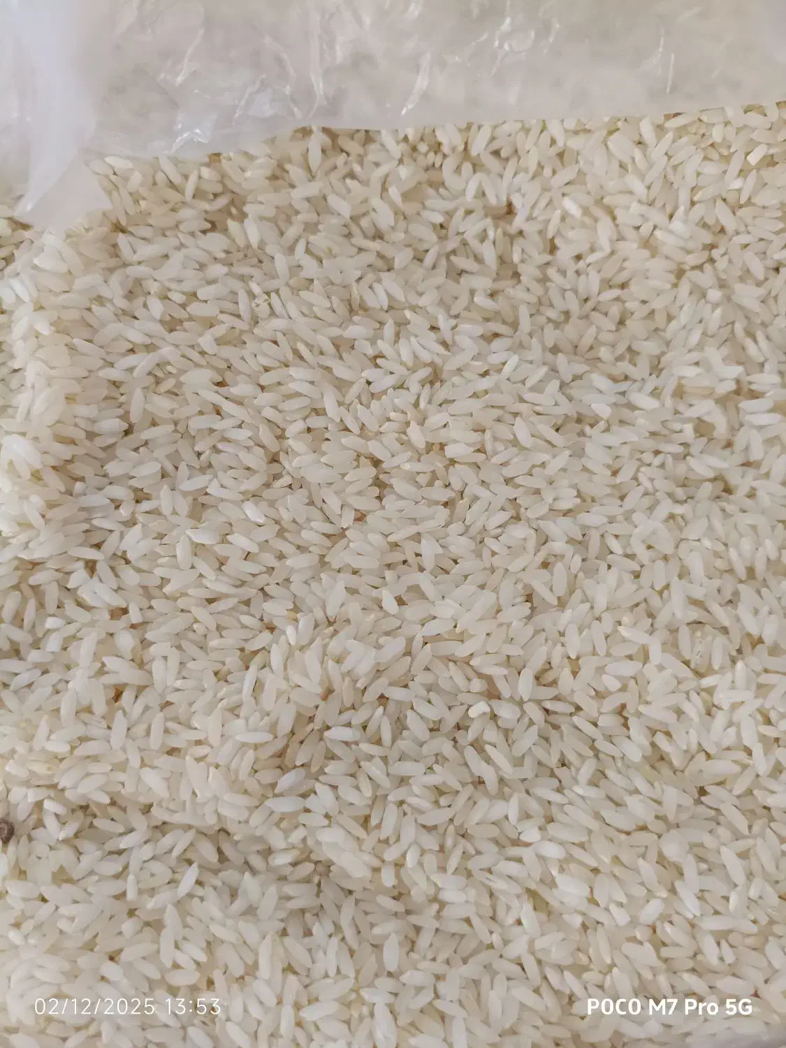 برنج محلی درجه یک|خوردنی و آشامیدنی|صحنه, |دیوار