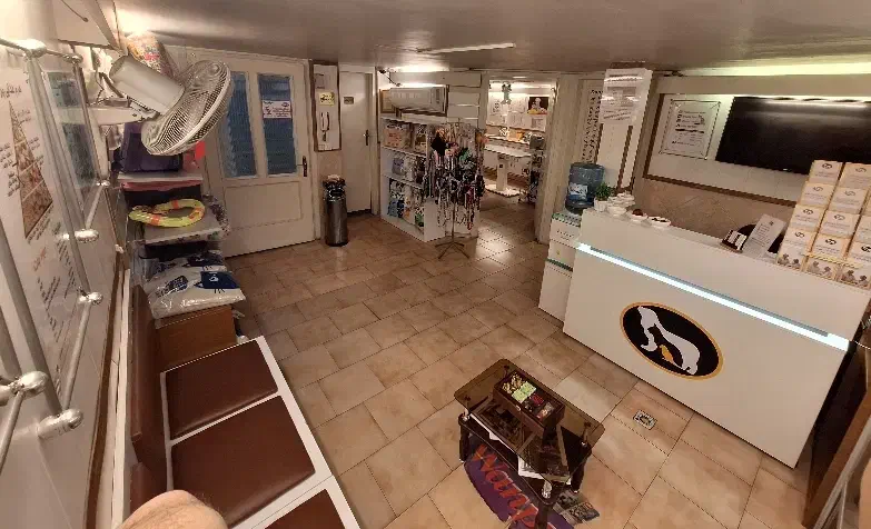 دستیار دامپزشک آقا شنبه تا پنجشنبه|استخدام درمانی، زیبایی، بهداشتی|تهران, امیرآباد|دیوار